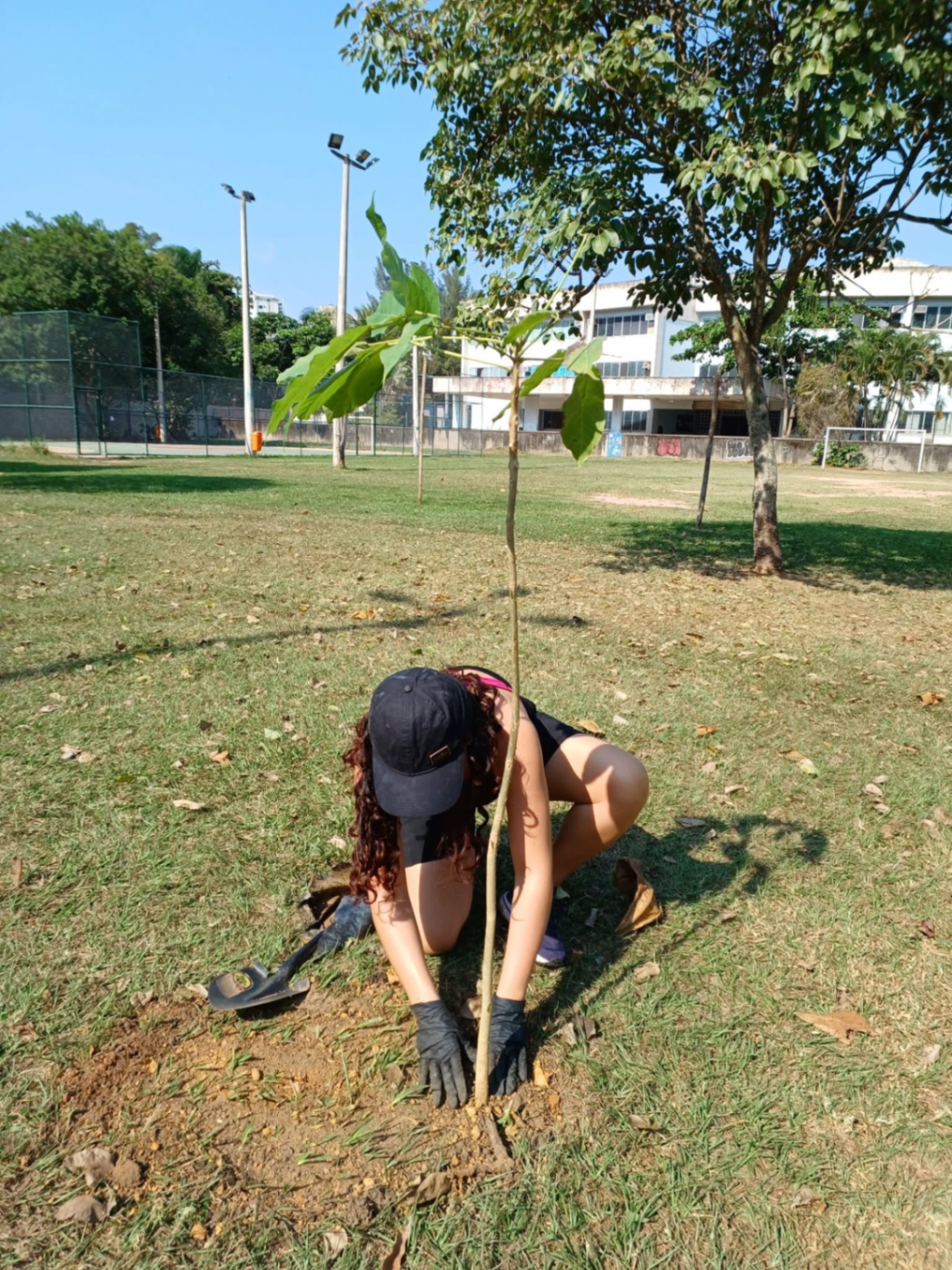 Native Tree Planting in Barra da Tijuca, Rio de Janeiro — photo 5