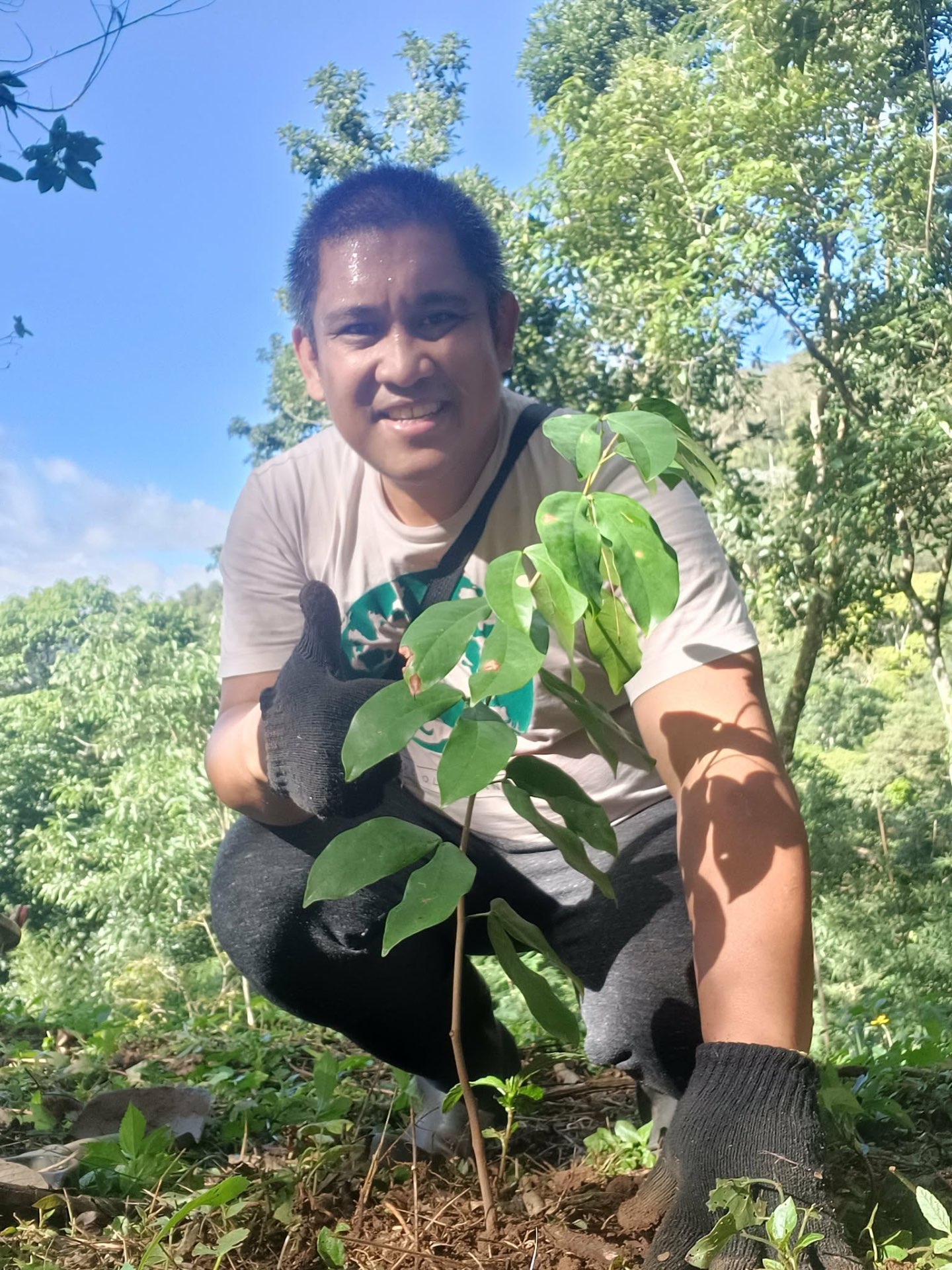 Native Tree Planting in various areas in Teresópolis, Rio de Janeiro — photo 4
