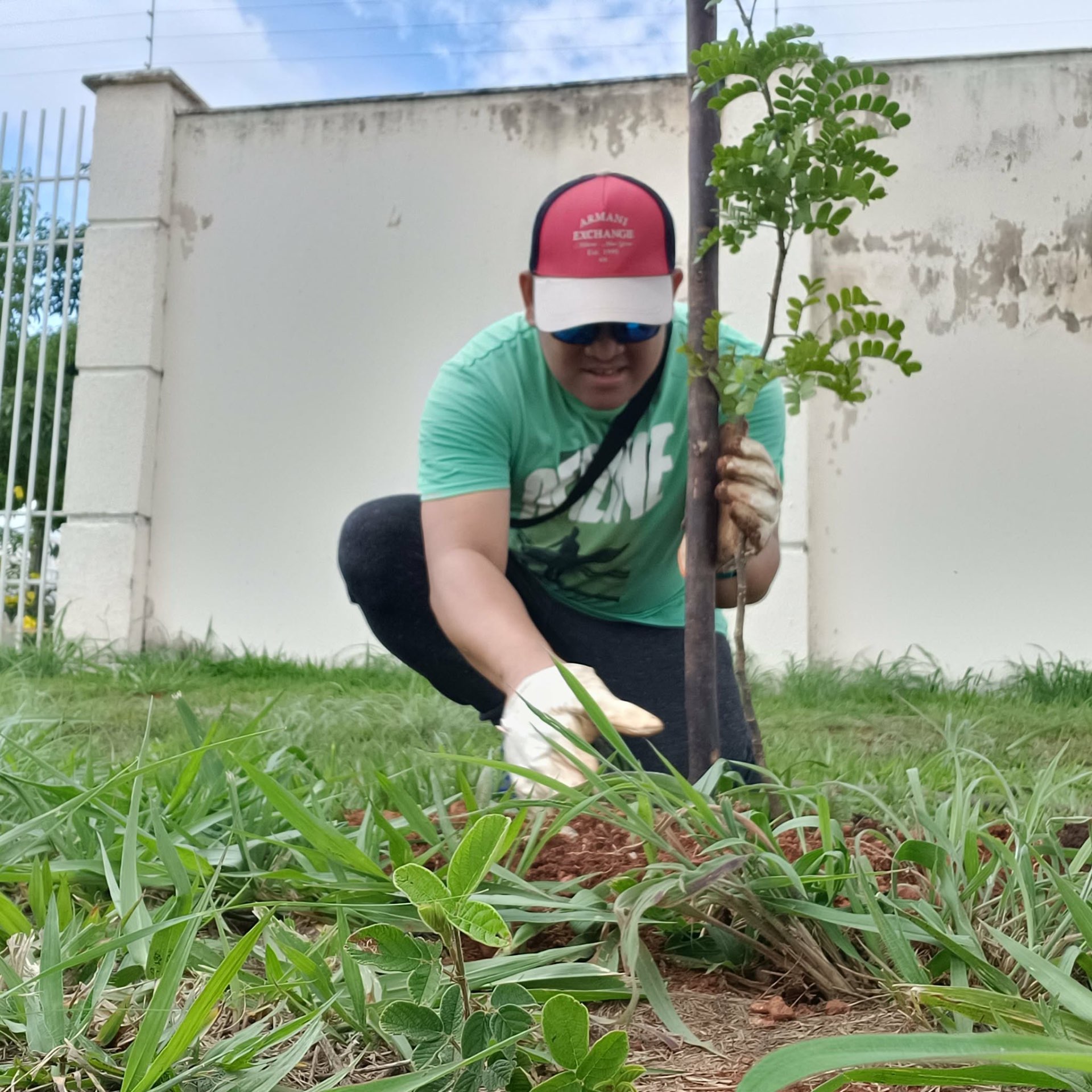 Native Tree Planting in São Sebastião, Federal District — photo 1