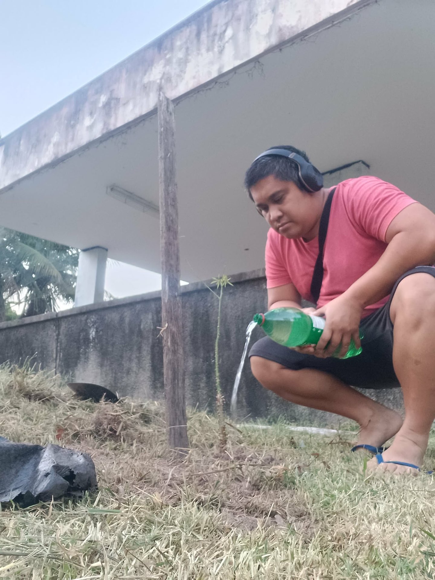 Native Tree Planting in Barra da Tijuca, Rio de Janeiro — photo 10