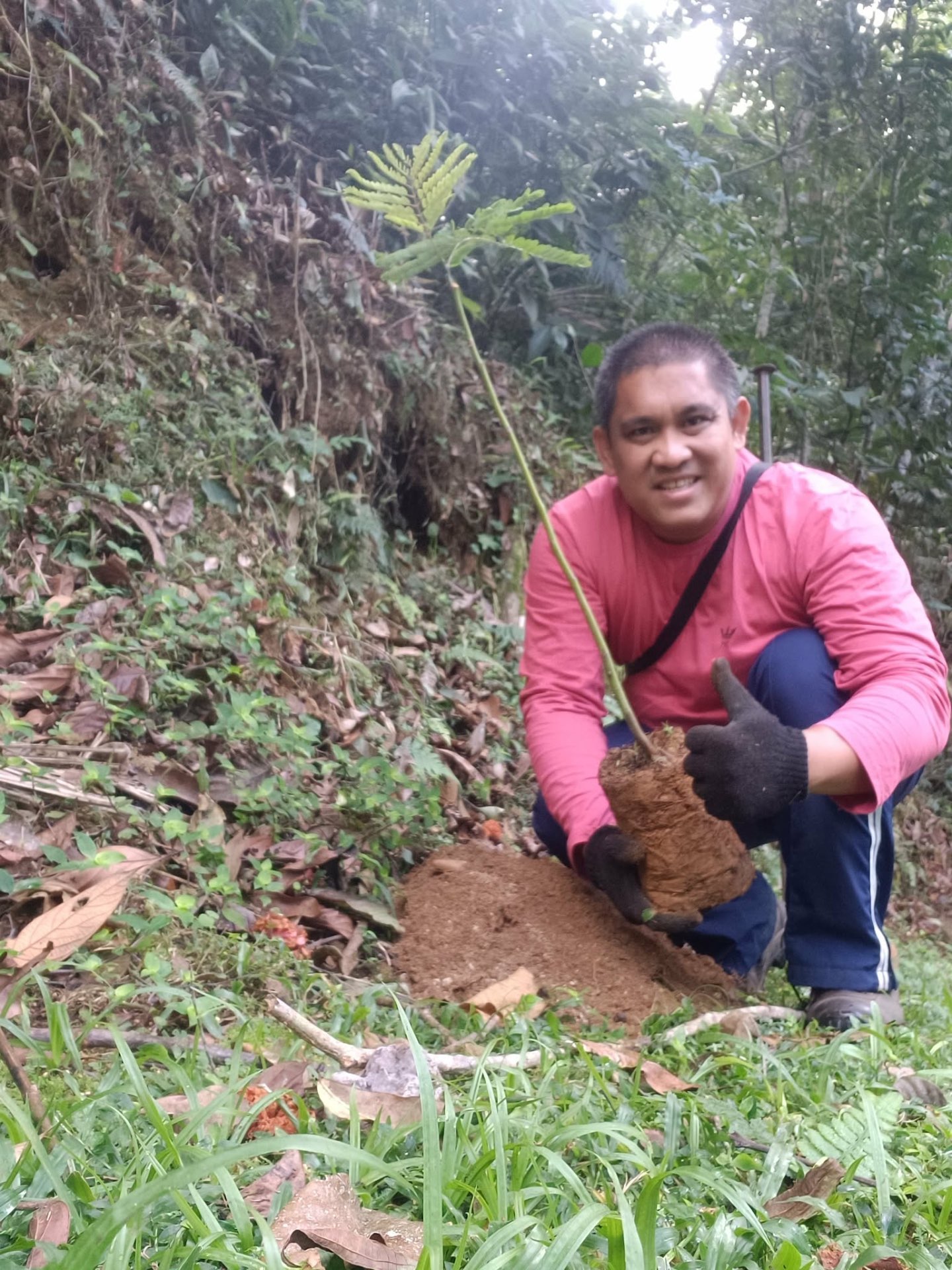 Native Tree Planting in various areas in Teresópolis, Rio de Janeiro — photo 9