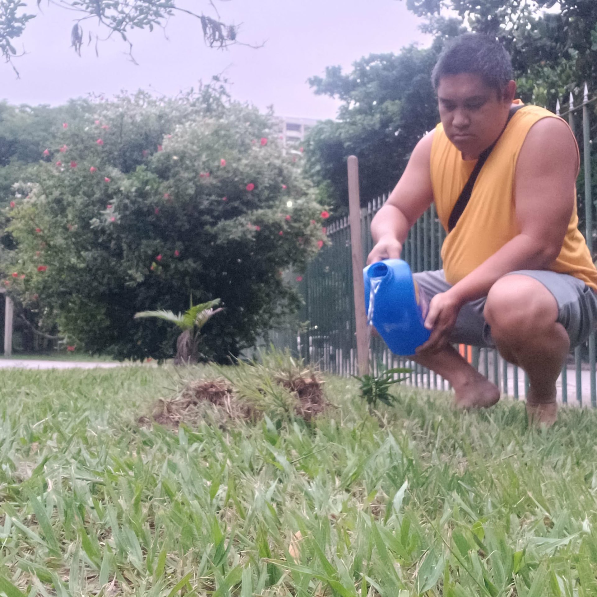 Native Tree Planting in Barra da Tijuca, Rio de Janeiro — photo 14