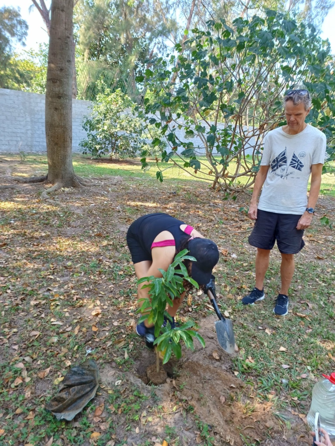Native Tree Planting in Barra da Tijuca, Rio de Janeiro — photo 11
